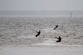 2011-03-29-Kite-Surf-au-Betey-06